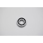 Hammerhead 150 Radial Ball Bearing E6203