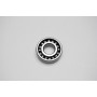 Hammerhead 150 Radial Ball Bearing E6204