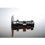 Camshaft CN / CF Moto 250 172MM-022301 Full