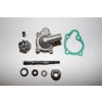 Water pump assy. CN / CF Moto 250 Full